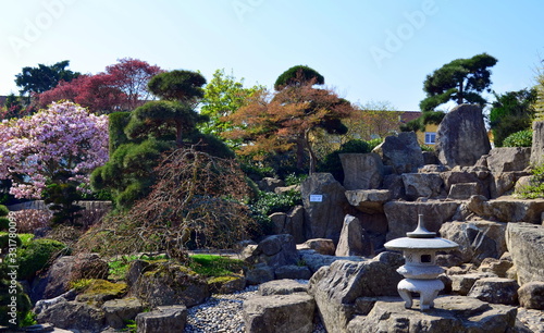 Japangarten in Freiburg im Frühling photo