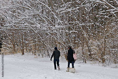 Toronto, Ontario / Canada - Feb 27, 201 : Mature health man walking dog in winter, outside, healthy lifestyle.