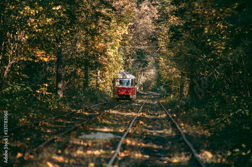 Old red tram in the autumn forest