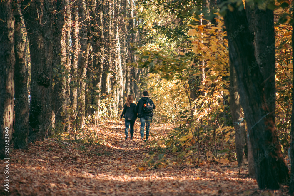 A guy and a girl are walking in the autumn forest