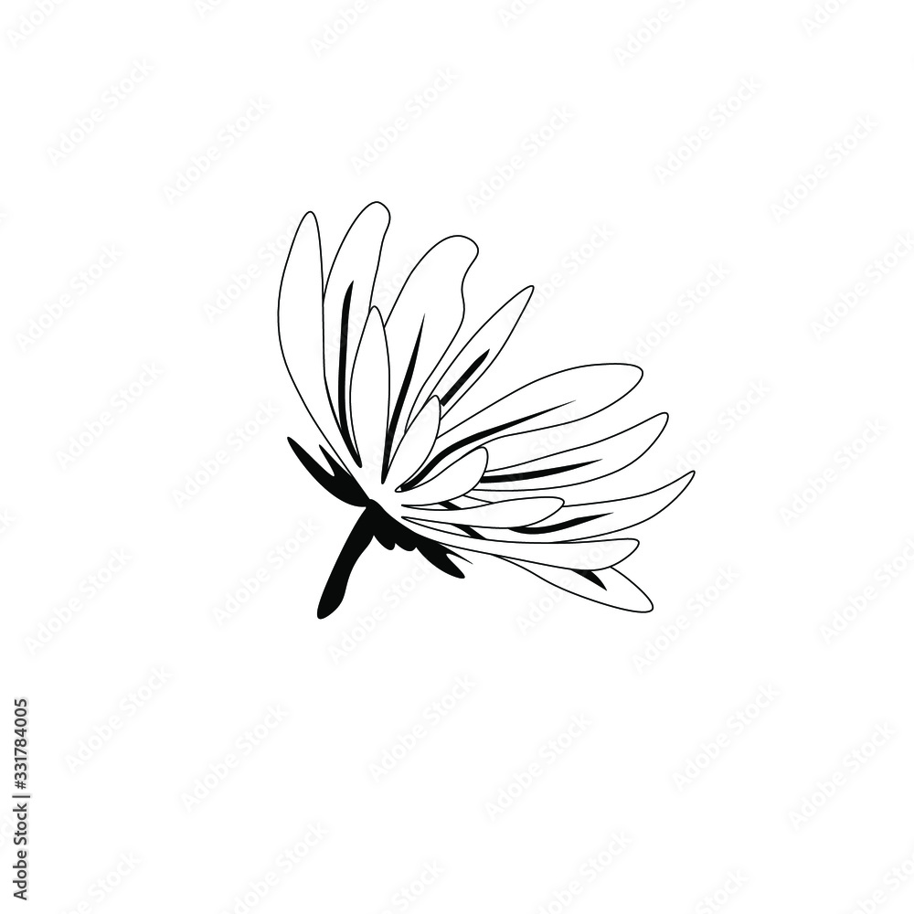 spring set with wildflowers black and white spring set with wildflowers black and white