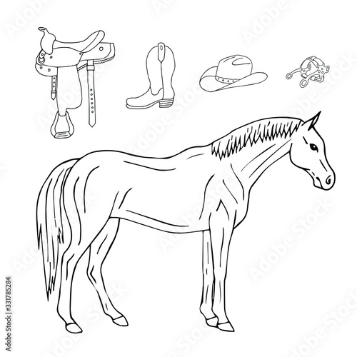 Vector hand drawn doodle sketch horse and riding equestrian cowboy western equipment set isolated on white background