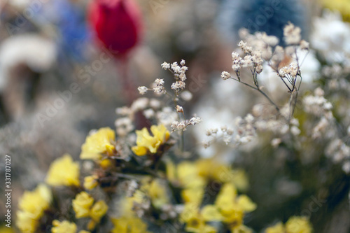 Close up shot of a dry flower bouquet