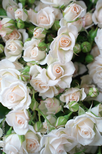 bouquet of delicate cream roses