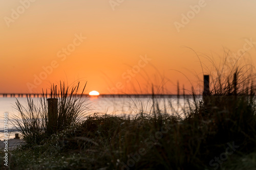 Sunrise on Beach Grass