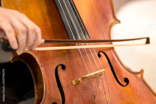 string musical instrument, viola - large violin, close up. Horizontal frame