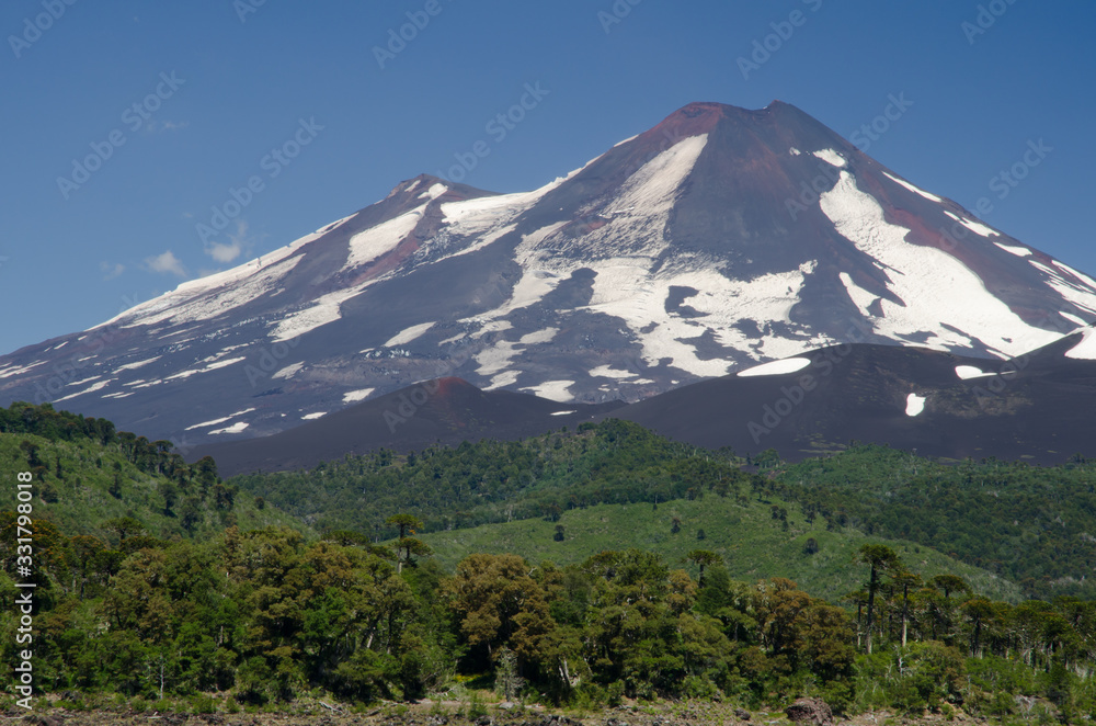 Llaima volcano in the Conguillio National Park.