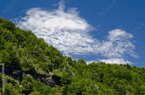 Forest and clouds in the Conguillio National Park.