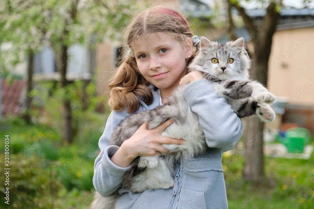 Girl child holding in her arms beloved pet fluffy gray cat Girl child holding in her arms beloved pet fluffy gray cat