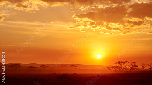 Beautiful sunset in Serengeti  Tanzania. Taken from the 4X4 while on a game drive during a safari trip around Kenya and Tanzania. 