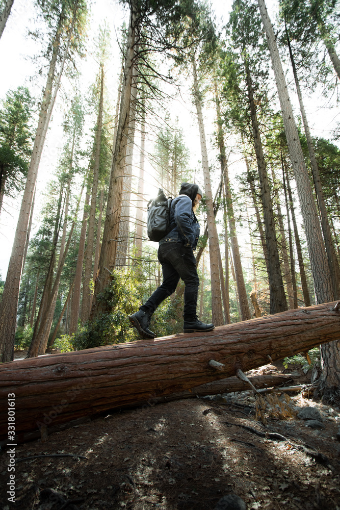 Fototapeta premium Exploring Yosemite