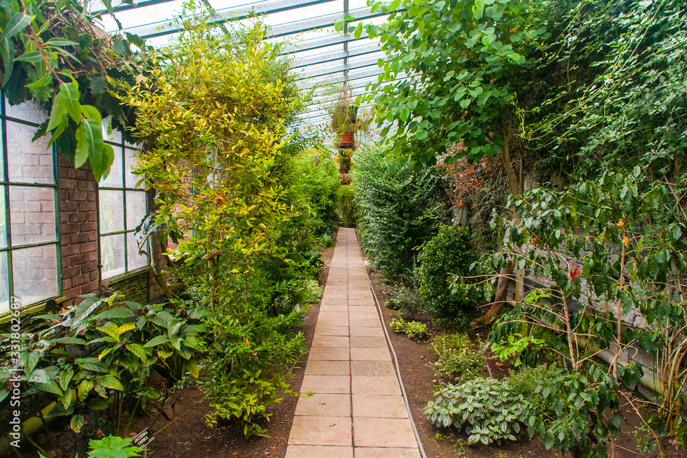 L'interno della serra nel giardino botanico di Villa Taranto, Verbania, Piemonte, Italia 