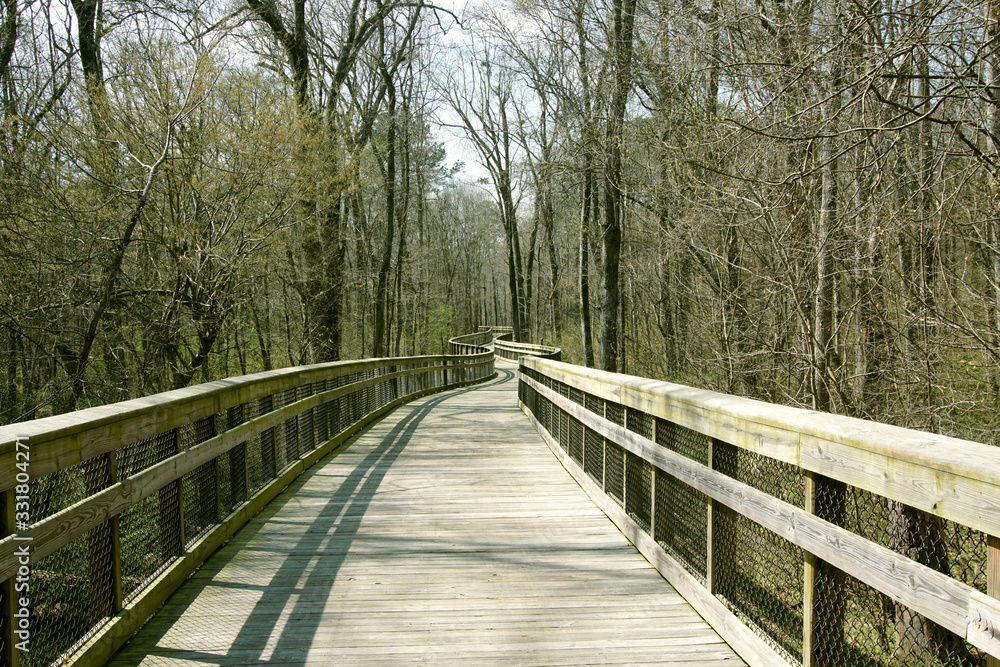 A greenway trail curving through the trees in Raleigh, North Carolina