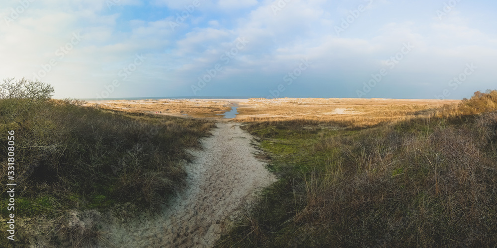Panoramic view of dunes and north sea - obrazy, fototapety, plakaty 