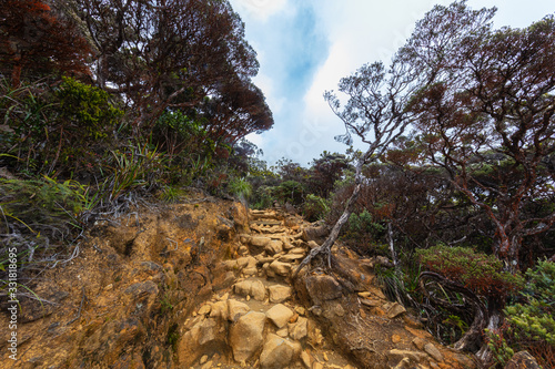 Climbing Mount Kinabalu, Sabah, Borneo, Malaysia. The highest mountain in south east Asia, near the city of Kota Kinabalu. From jungle at the foot of the mountain, to the barren vegetation at the peak