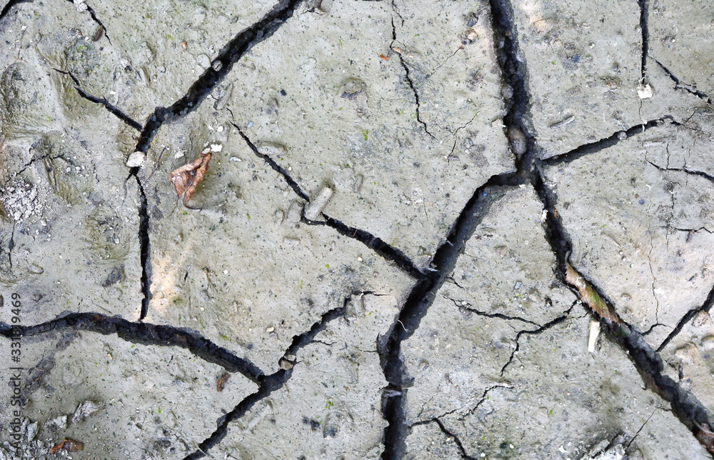 Obraz premium Close up of crack soil and muddy in the dry season textures, hot summer. Patterns and texture cracked soil of sunny dried earth soil, Drought of the ground. Dried cracked earth soil ground background