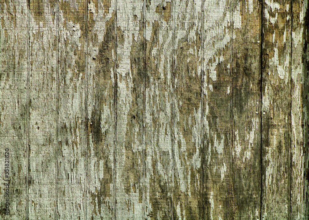 Obraz premium old wood texture