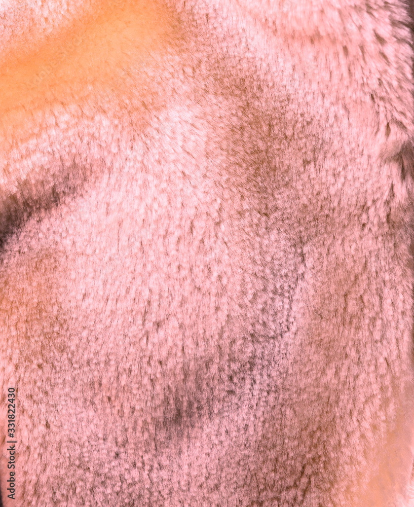 Fototapeta premium Texture of artificial fur.