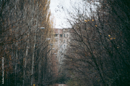 Autumn forest in Pripyat in Chernobyl