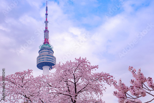 Spring Time and cherry blossom in Spring with Seoul Tower Seoul South Korea