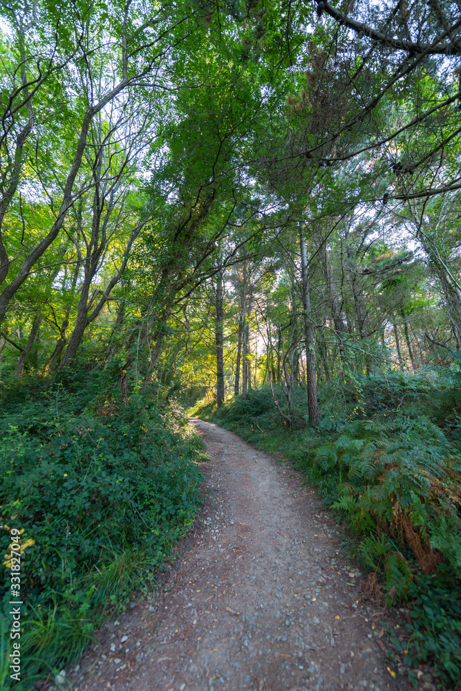 sunny path through basque country