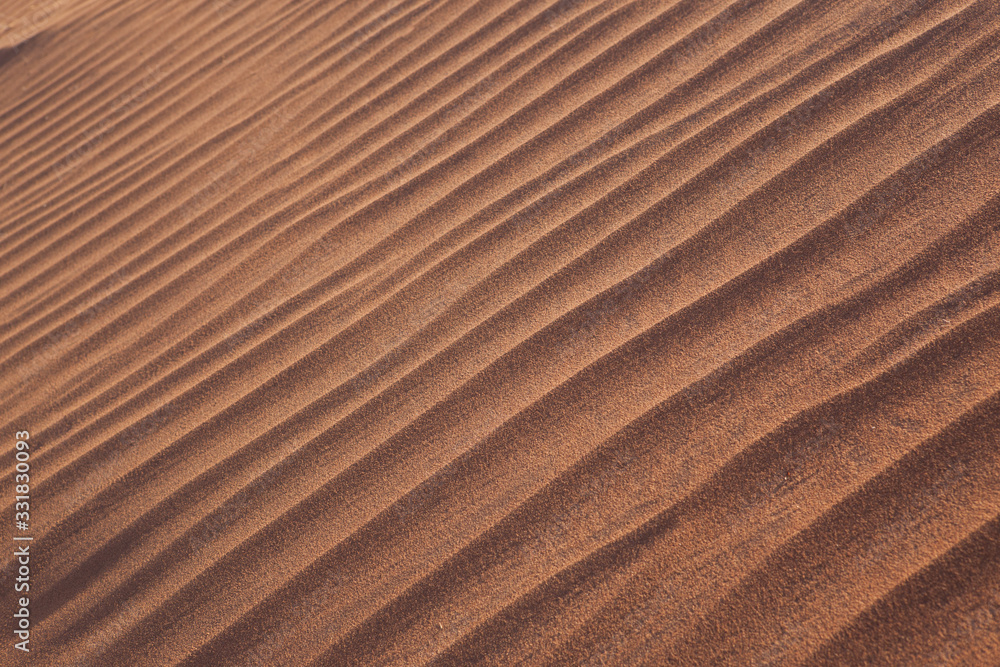 Sand dune texture Sand dune texture