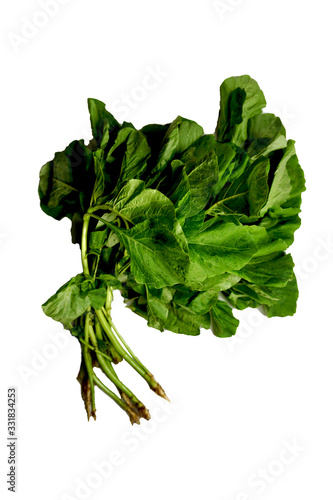 spinach vegetable
