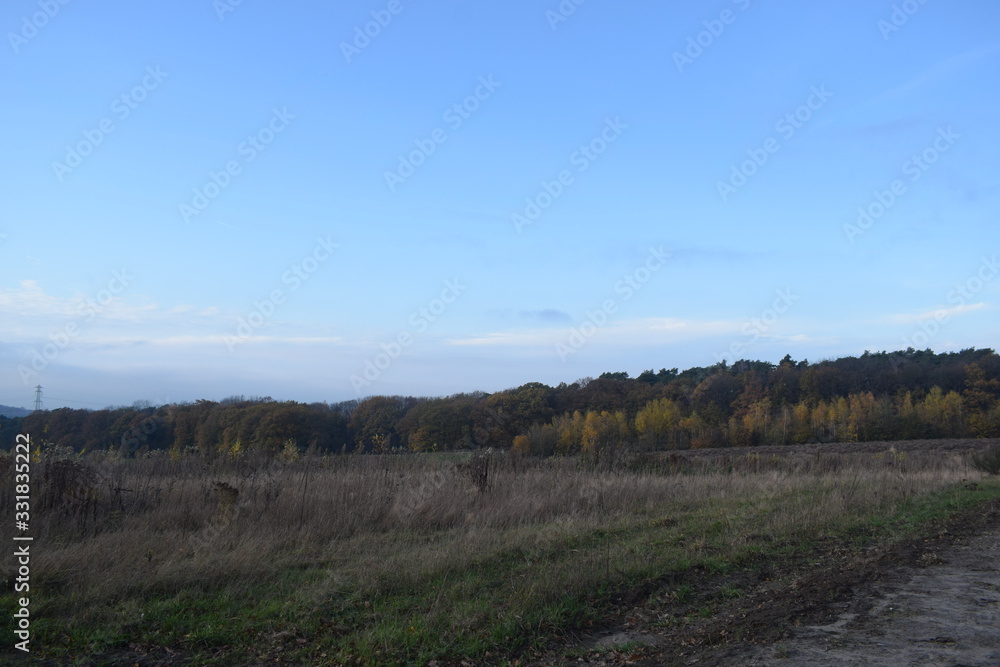 Fototapeta premium view of landscape