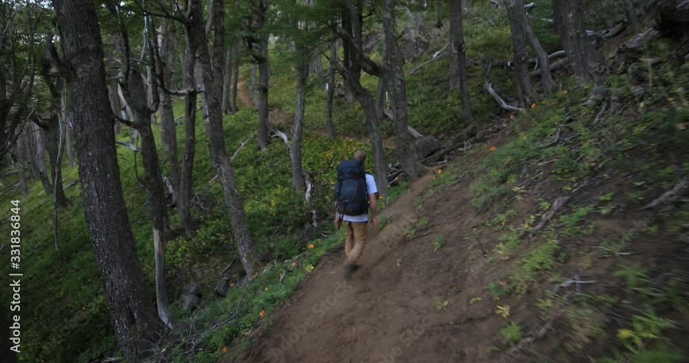 Young man walking along trail between old tall woods. Trekking at Lanin National Park. Natural landscape. Cerro Colorado, Patagonia, Argentina. Young man walking along trail between old tall woods. Trekking at Lanin National Park. Natural landscape. Cerro Colorado, Patagonia, Argentina.