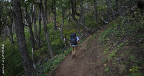 Young man walking along trail between old tall woods. Trekking at Lanin National Park. Natural landscape. Cerro Colorado, Patagonia, Argentina. photo