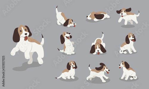 Cute beagle dog in various poses set
