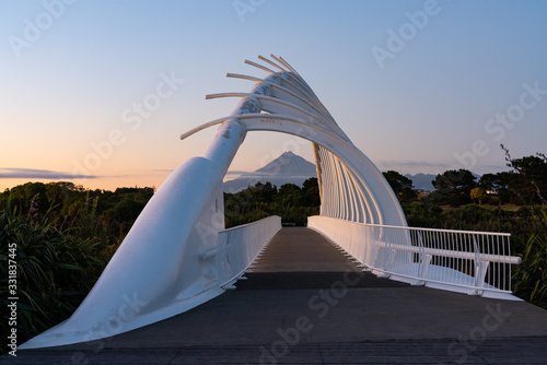 Te Rewa Rewa Bridge is a pedestrian and cycleway bridge across the Waiwhakaiho River at New Plymouth in New Zealand. Its spectacular shape and setting make it a popular landmark. photo