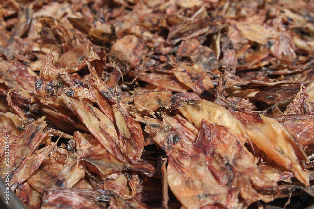 Dried squid is seafood Processing  ,Traditional way to produce dried shrimp by drying under sunlight.