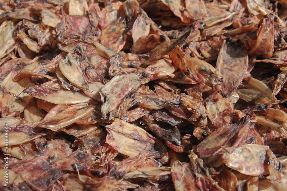 Dried squid is seafood Processing ,Traditional way to produce dried shrimp by drying under sunlight. Dried squid is seafood Processing ,Traditional way to produce dried shrimp by drying under sunlight.