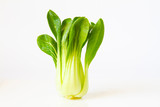 bok choy green veggie close up white background 