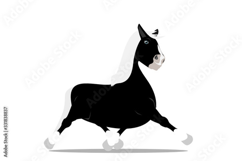Pferd