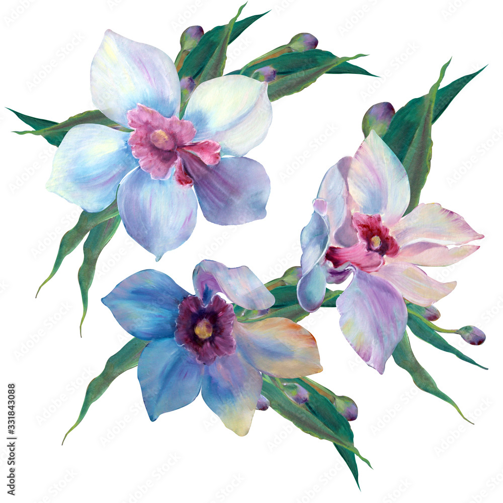 Fototapeta premium Orchid flowers. Isolated botany illustrations on white background: single flower, orchid branch, bud.