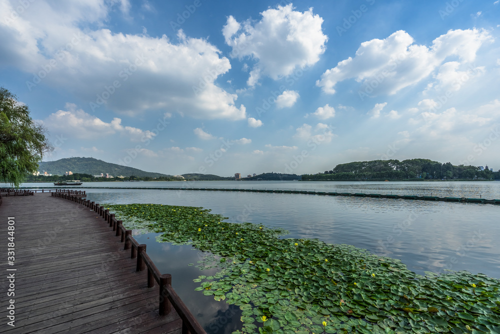 nanjing skyline and lotus , modern city with lake