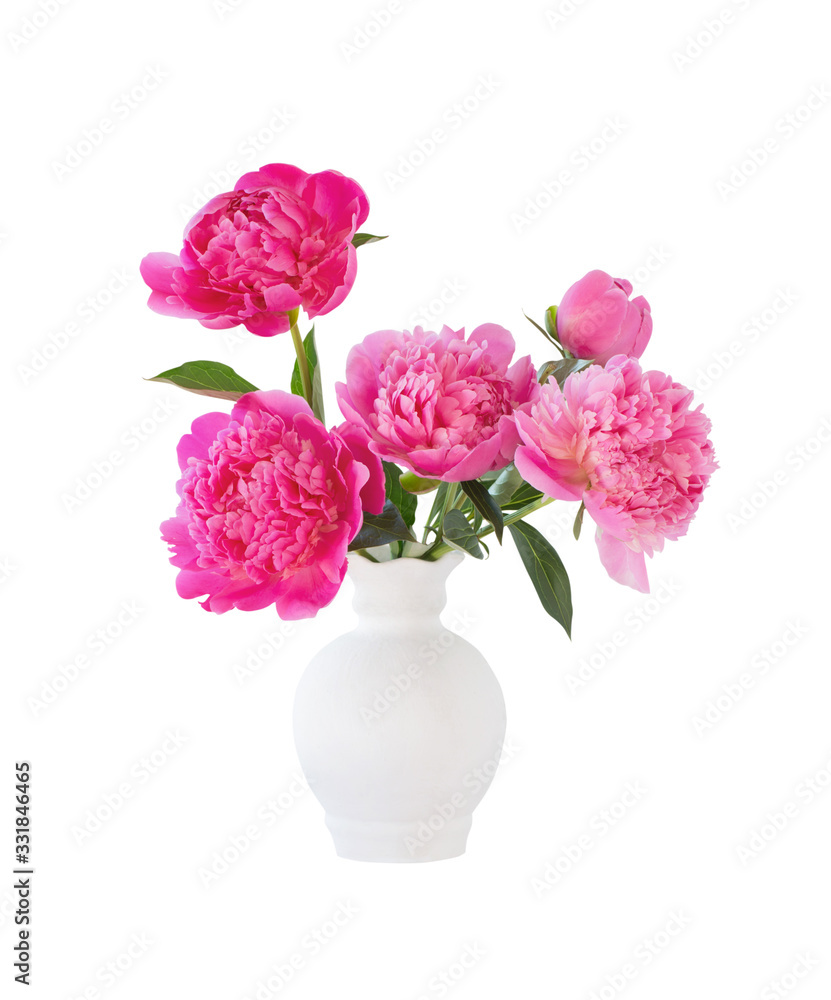 pink peonies in vase isolated on white background pink peonies in vase isolated on white background