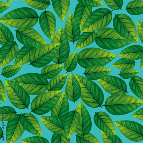 background of leafs ovate natural ecologics vector illustration design