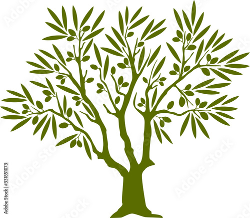 Olive tree