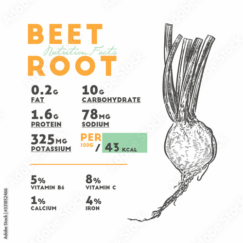 Nutrition facts of beetroot, hand draw sketch vector.