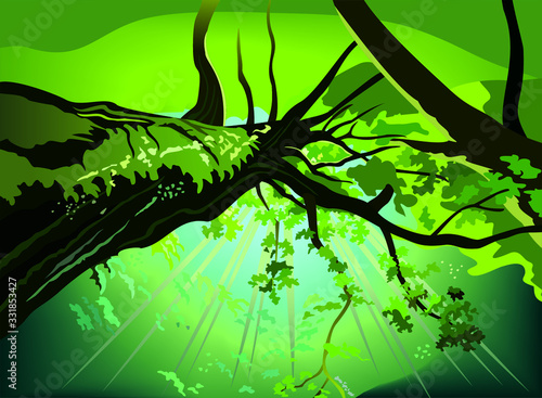 Shining sky through the upper branches of trees, vector illustration
