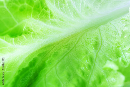Fresh juicy lettuce salad closeup. Background macro photo of food in shades. The concept of wholesome healthy food, veganism.