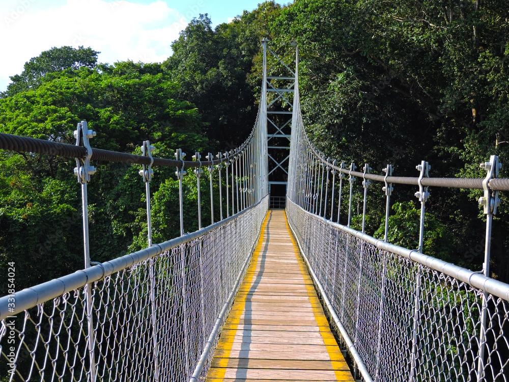 Obraz premium most nad rzeką