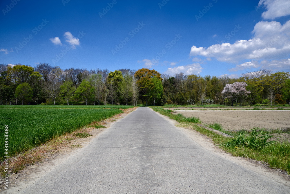 風景 landscape 風景 landscape