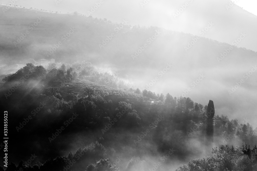 Sunrays at dawn above hills cutting through the mist and trees Sunrays at dawn above hills cutting through the mist and trees