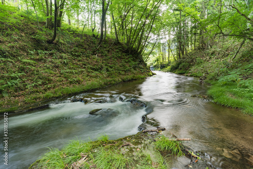 日本 新緑の美しい渓流