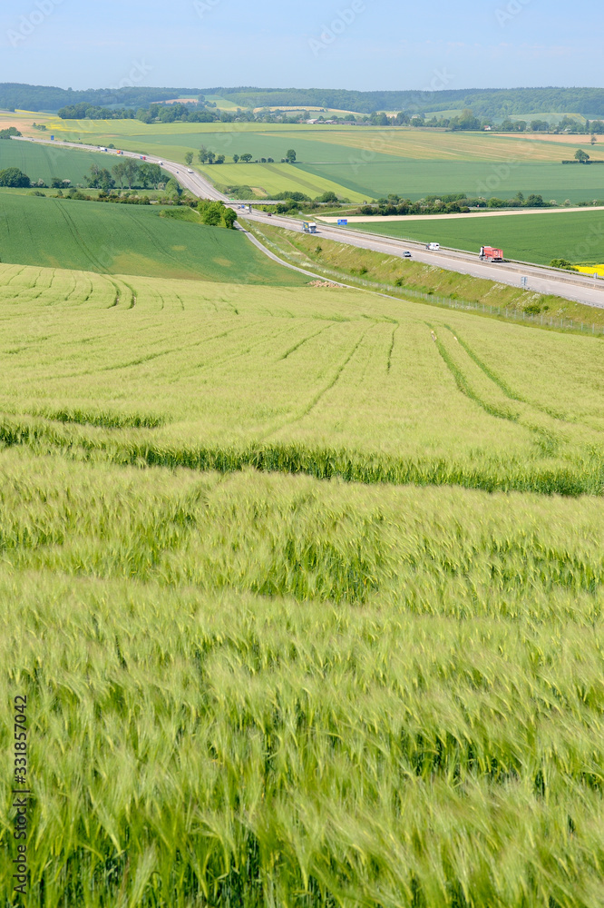 Autoroute A28 traversant le pays de Bray...Champs d'orge, escourgeon et blé Autoroute A28 traversant le pays de Bray...Champs d'orge, escourgeon et blé