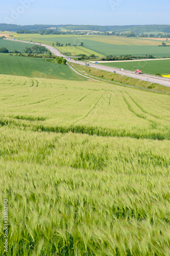 Autoroute A28 traversant le pays de Bray...Champs d'orge, escourgeon et blé